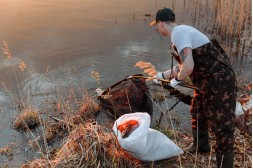 Teich reinigen: Anleitung für klares Wasser ohne Stress Teich reinigen: Anleitung für klares Wasser ohne Stress
